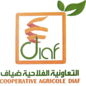 logo diaf mini